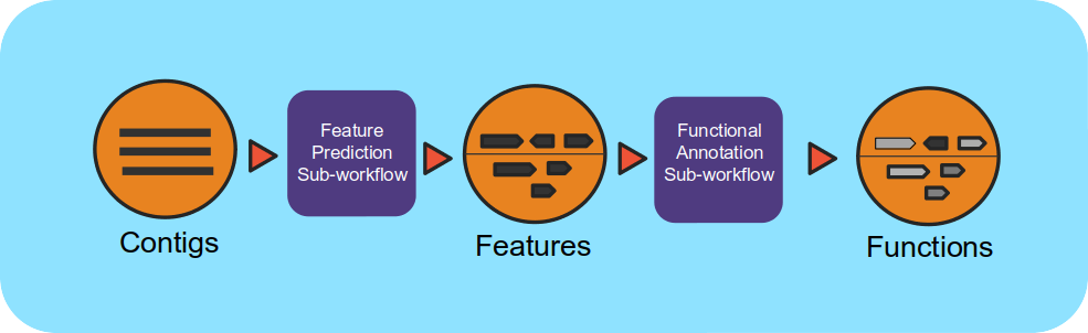 ../_images/4_MetaGAnnotation_annotation.png